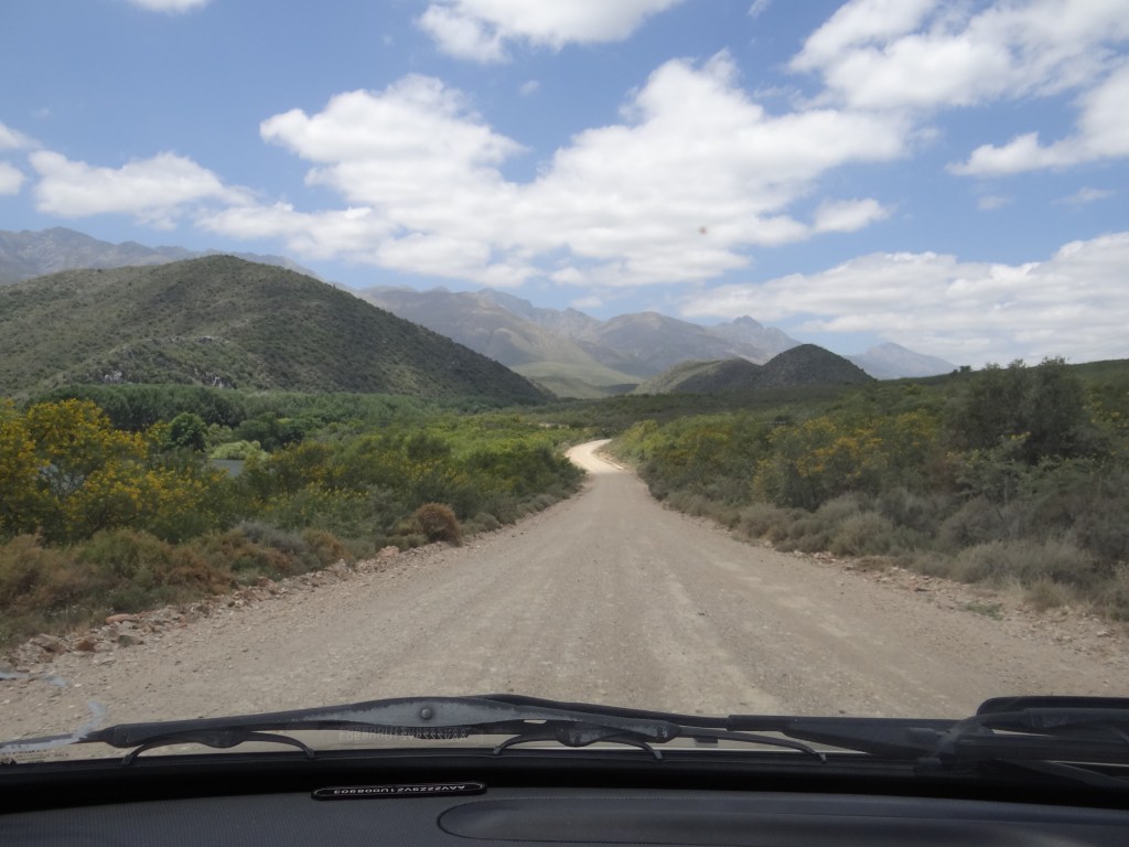 The dirt road to water