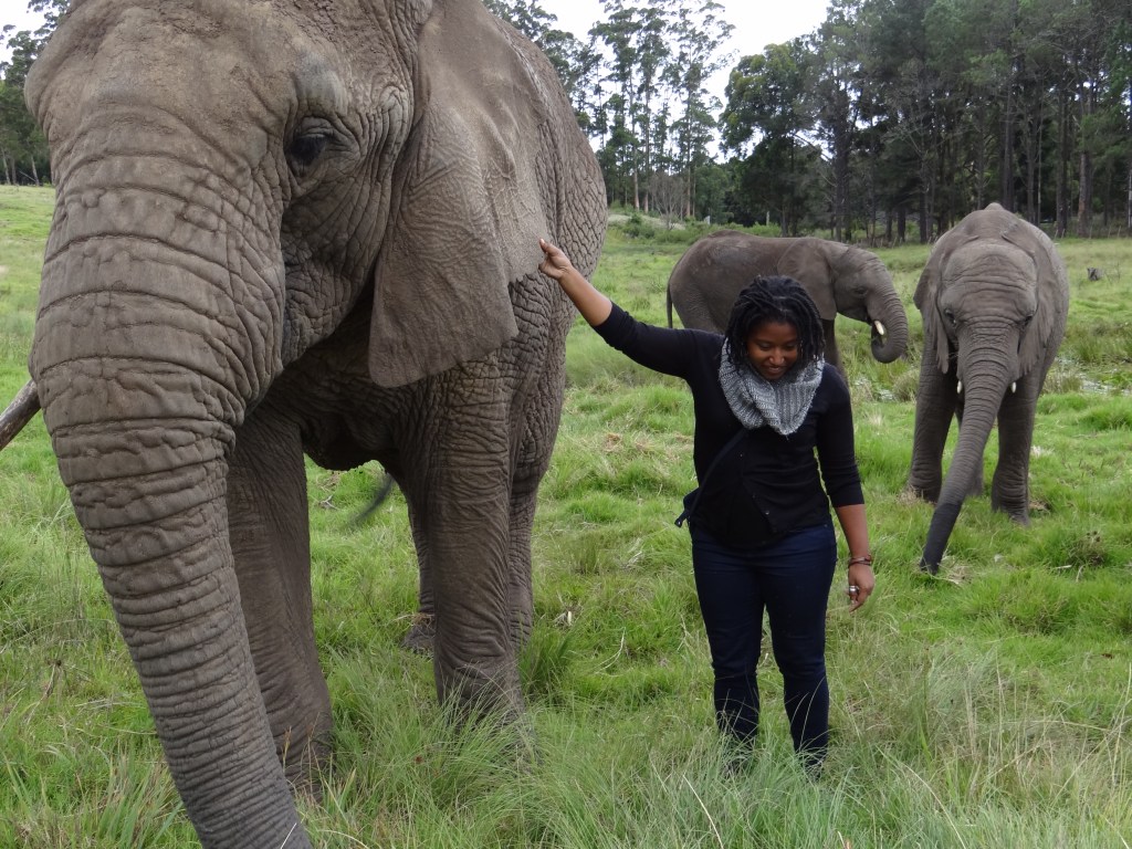Vacation: Sipping Wine, Walking the Beach…and Riding&nbsp;ELEPHANTS!