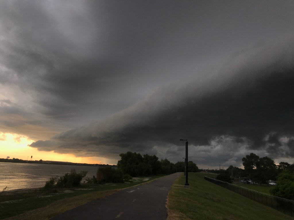 License to Kill: The Illusion of a Free and Democratic&nbsp;Society