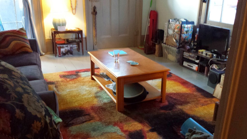 Days 2 through…: Cleaning&nbsp;House