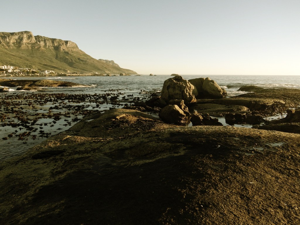 Pursue Your Passion, Take the&nbsp;Leap.