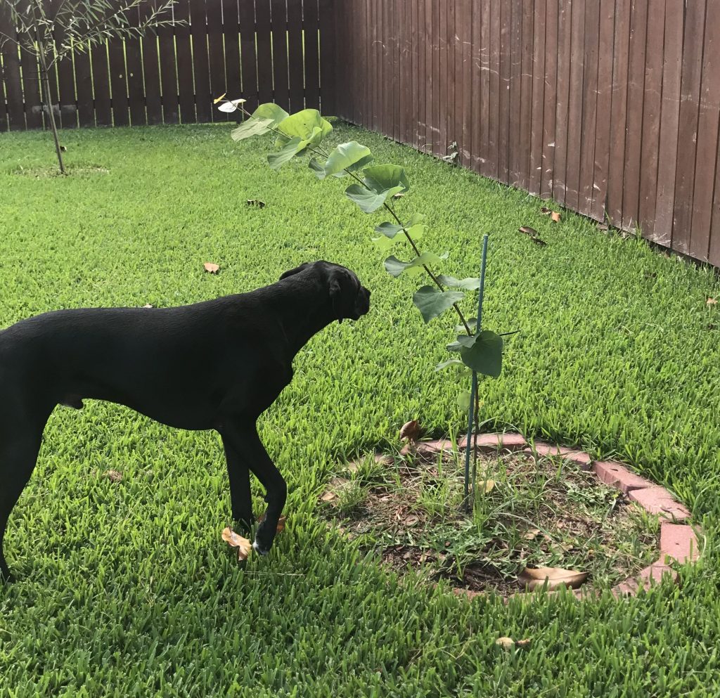 Plant Seeds. Watch Them&nbsp;Grow!